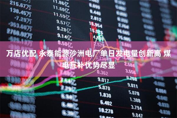 万店优配 永泰能源沙洲电厂单日发电量创新高 煤电互补优势尽显