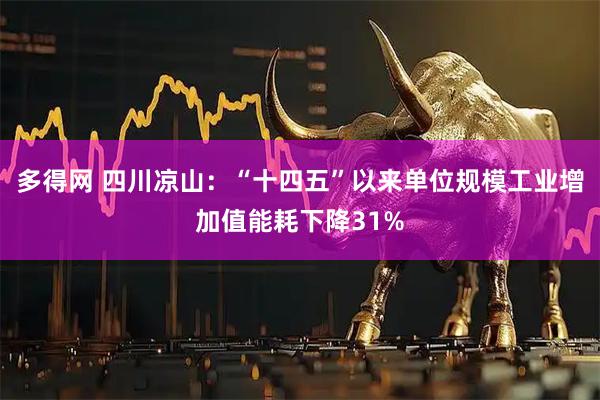 多得网 四川凉山：“十四五”以来单位规模工业增加值能耗下降31%