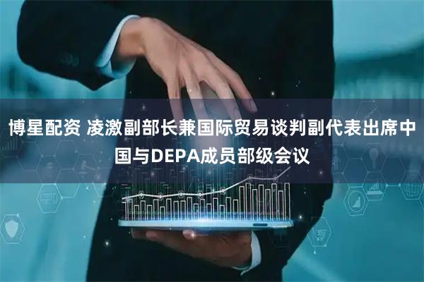 博星配资 凌激副部长兼国际贸易谈判副代表出席中国与DEPA成员部级会议