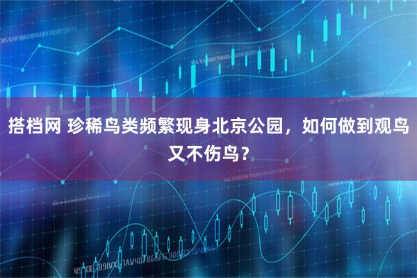 搭档网 珍稀鸟类频繁现身北京公园，如何做到观鸟又不伤鸟？