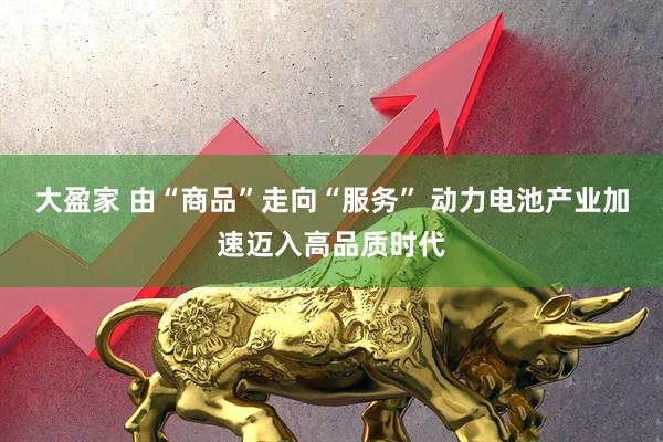 大盈家 由“商品”走向“服务” 动力电池产业加速迈入高品质时代