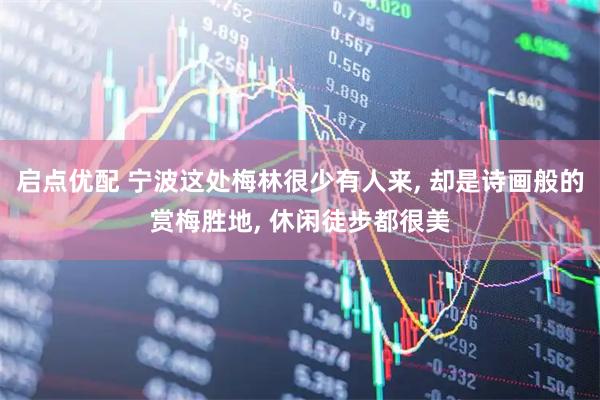 启点优配 宁波这处梅林很少有人来, 却是诗画般的赏梅胜地, 休闲徒步都很美