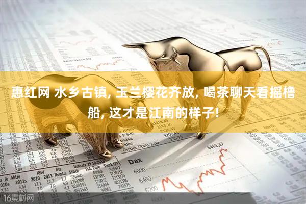 惠红网 水乡古镇, 玉兰樱花齐放, 喝茶聊天看摇橹船, 这才是江南的样子!